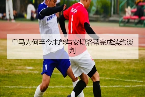 img_1781660067128_901_1_643.jpg