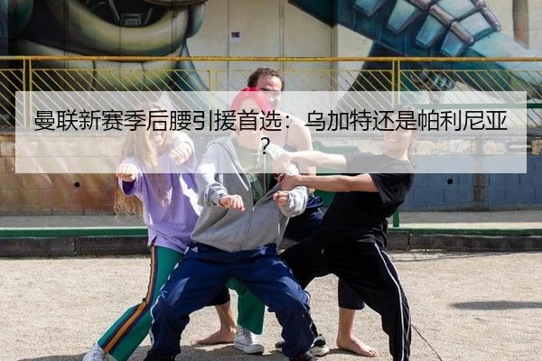 曼联新赛季后腰引援首选：乌加特还是帕利尼亚？